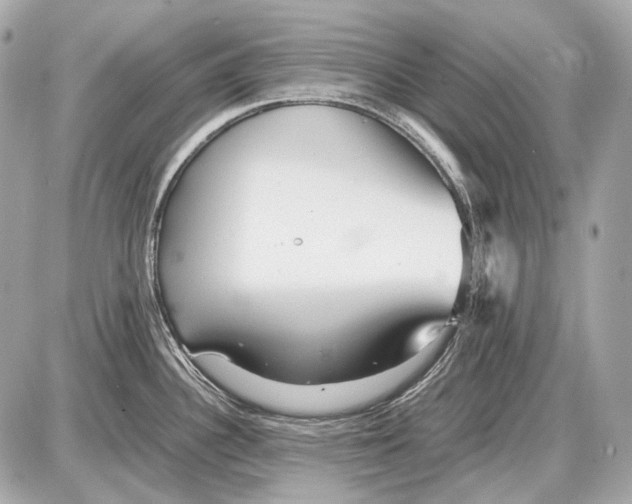 X0000087401340200705111816