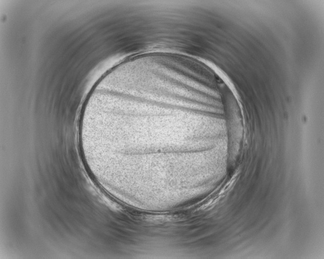 X0000087401341200705111816