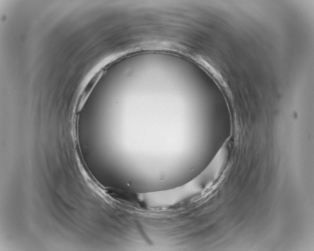 X0000087401342200705111816