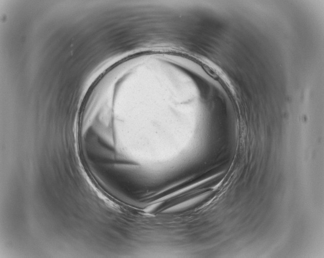 X0000087401343200705111816