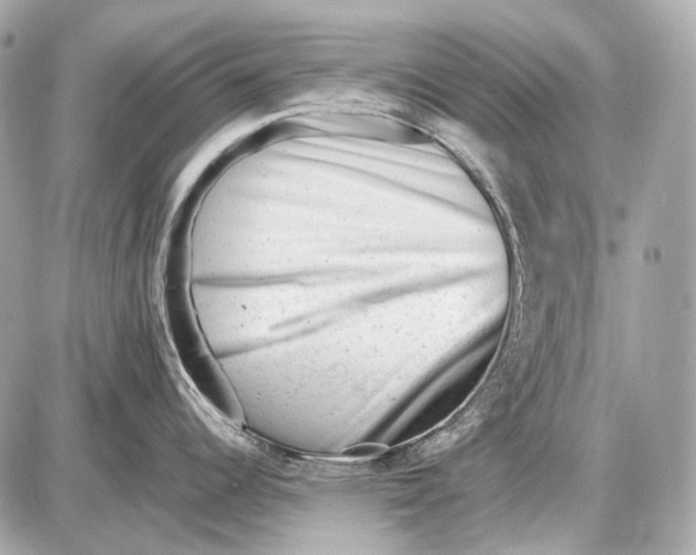 X0000087401344200705111816