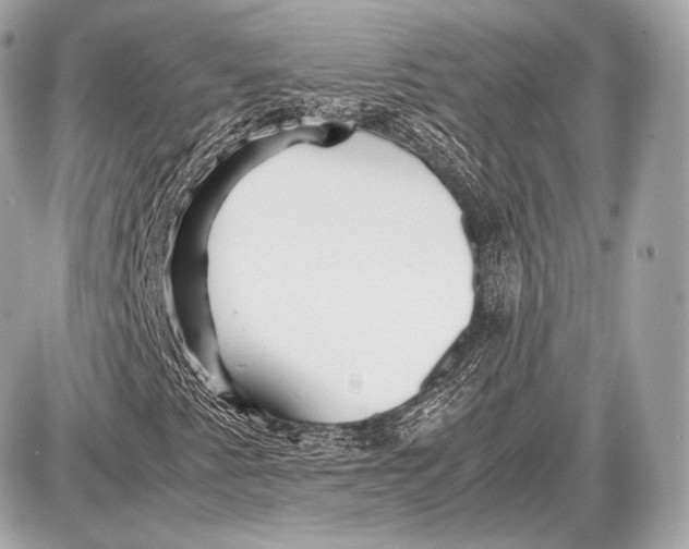 X0000087401345200705111815