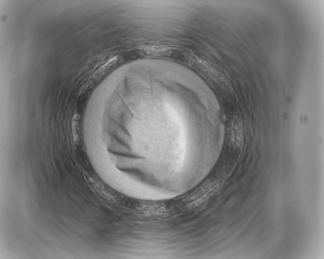 X0000087401346200705111815