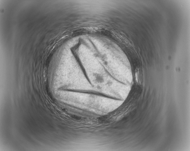 X0000087401347200705111815