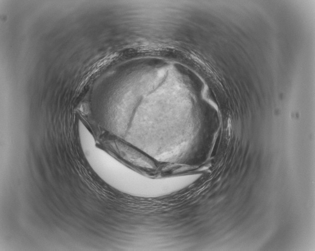 X0000087401348200705111815