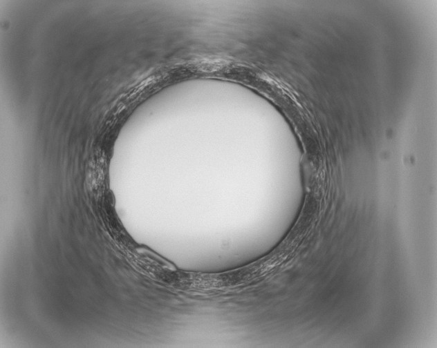 X0000087401349200705111815