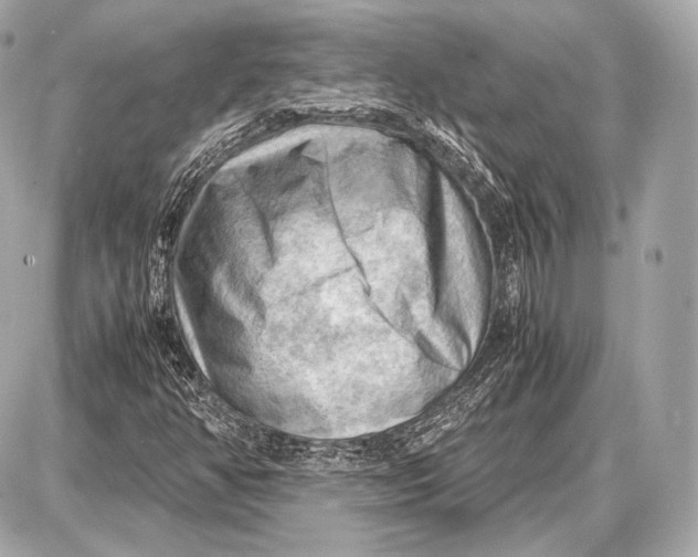 X0000087401350200705111815