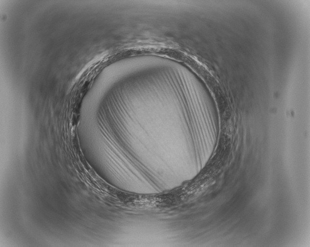 X0000087401351200705111815