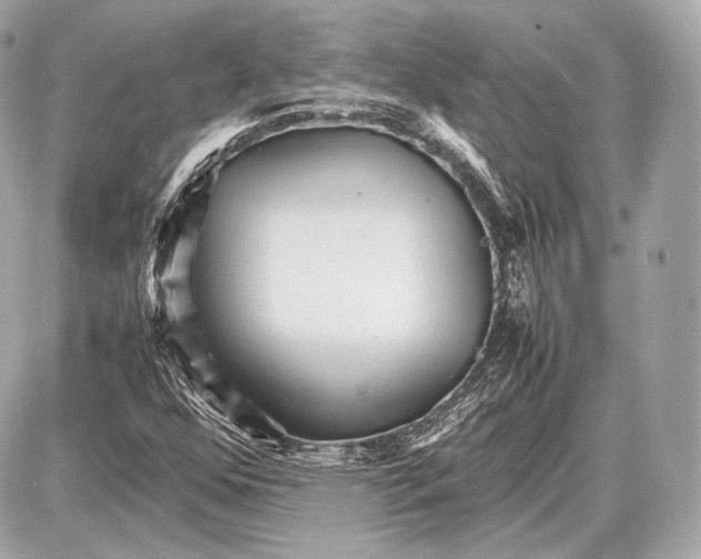 X0000087401352200705111815