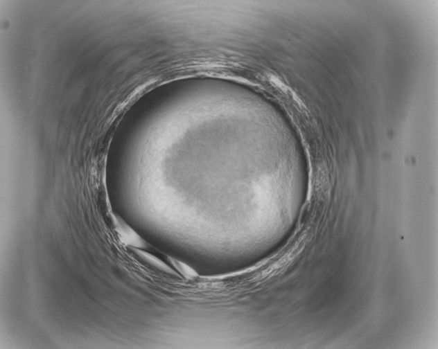 X0000087401353200705111815