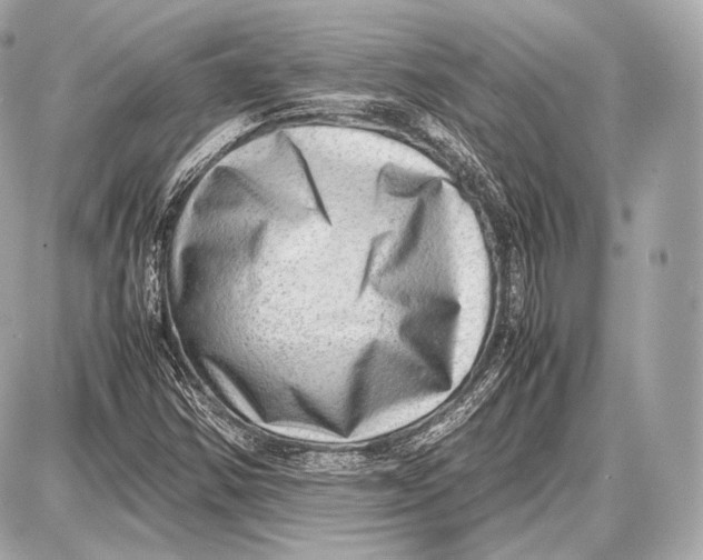 X0000087401354200705111815