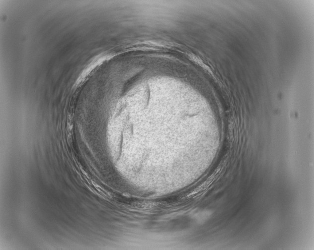 X0000087401355200705111815