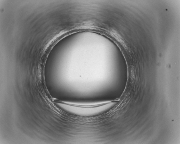 X0000087401356200705111815