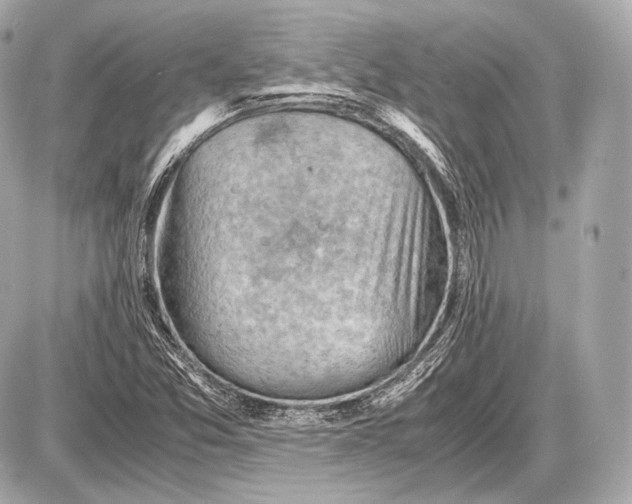 X0000087401357200705111815