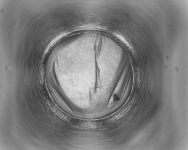 X0000087401358200705111815