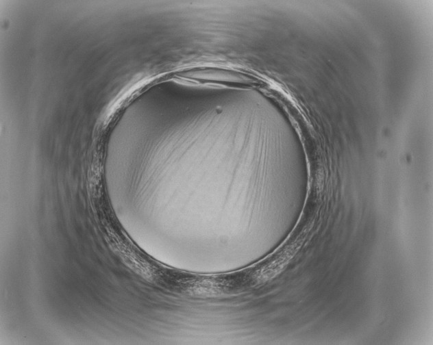 X0000087401359200705111815