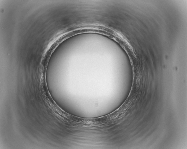 X0000087401360200705111815