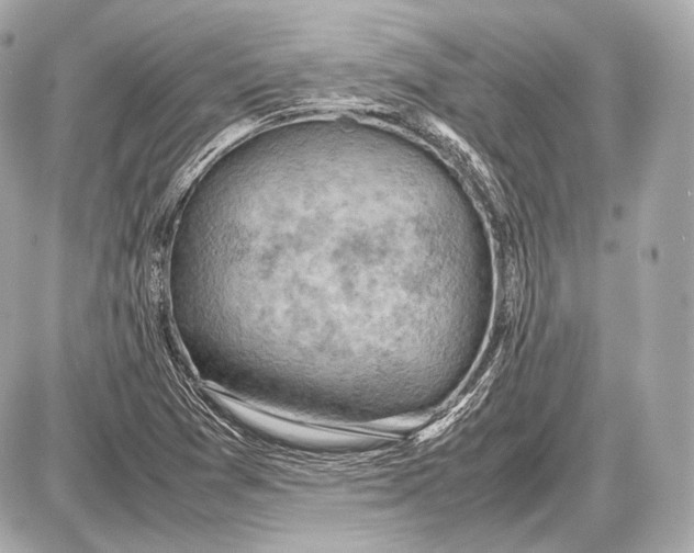 X0000087401361200705111815