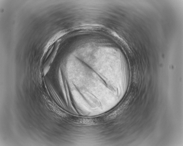 X0000087401362200705111815