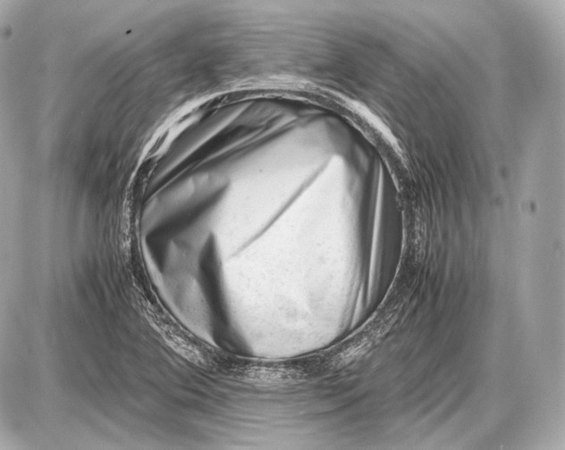 X0000087401364200705111815