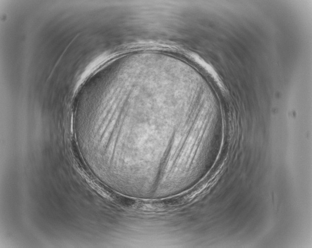 X0000087401365200705111815