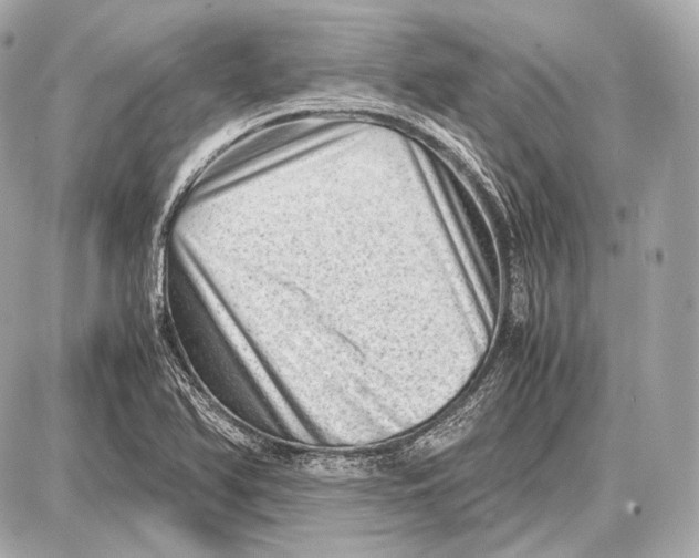 X0000087401366200705111815