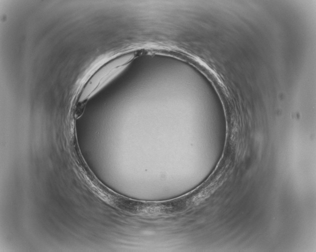 X0000087401367200705111815