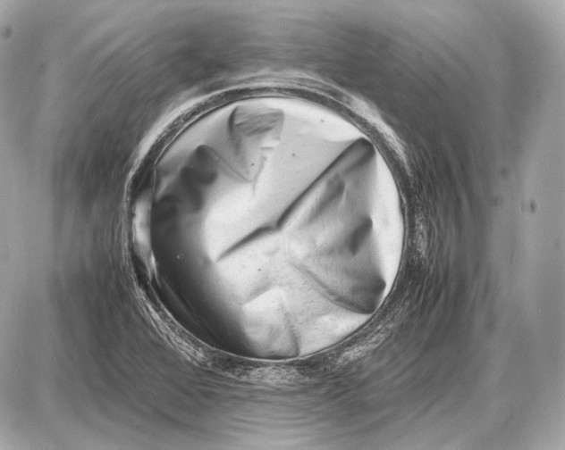 X0000087401368200705111815