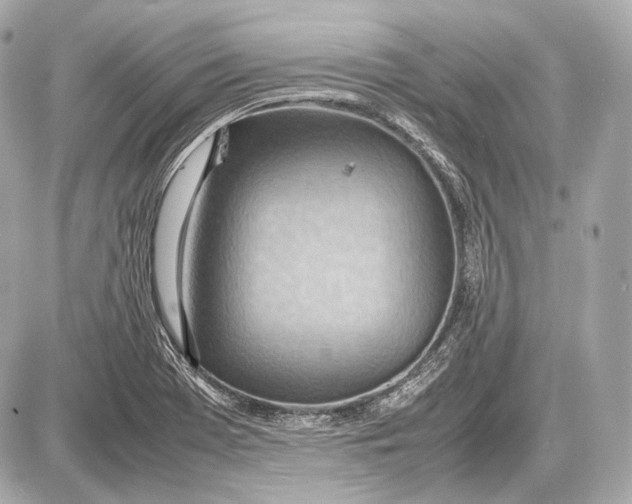 X0000087401369200705111815