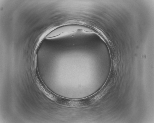 X0000087401371200705111815