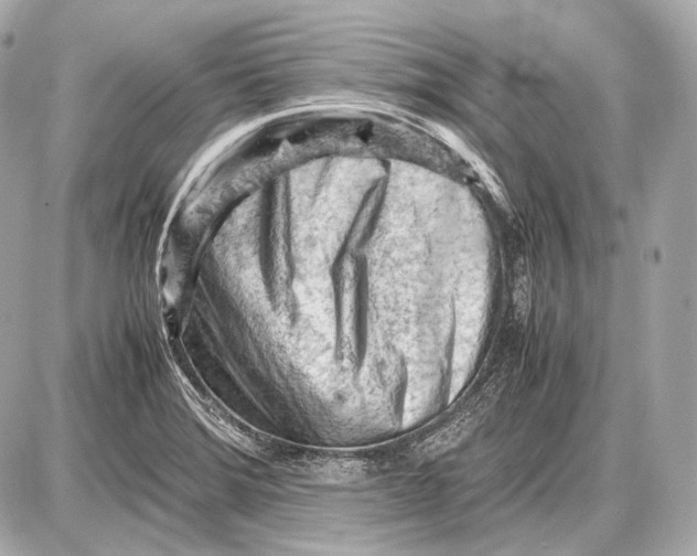 X0000087401372200705111815