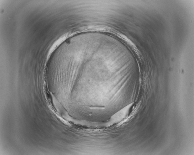 X0000087401373200705111815