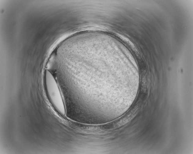 X0000087401375200705111815