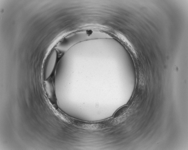 X0000087401376200705111815