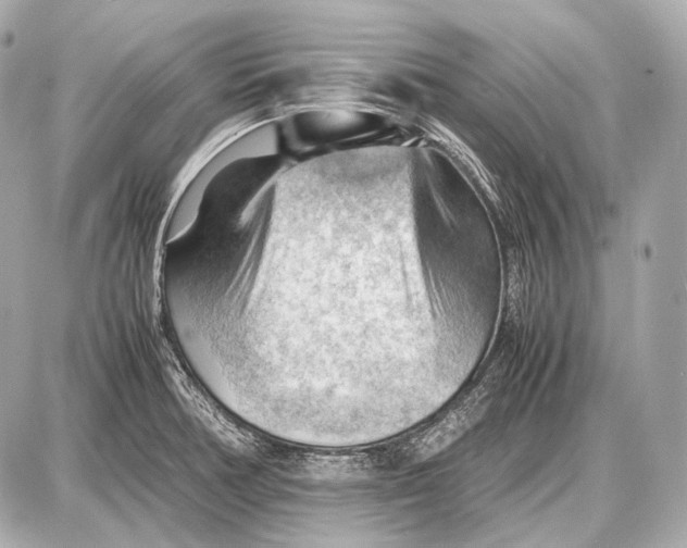 X0000087401378200705111815