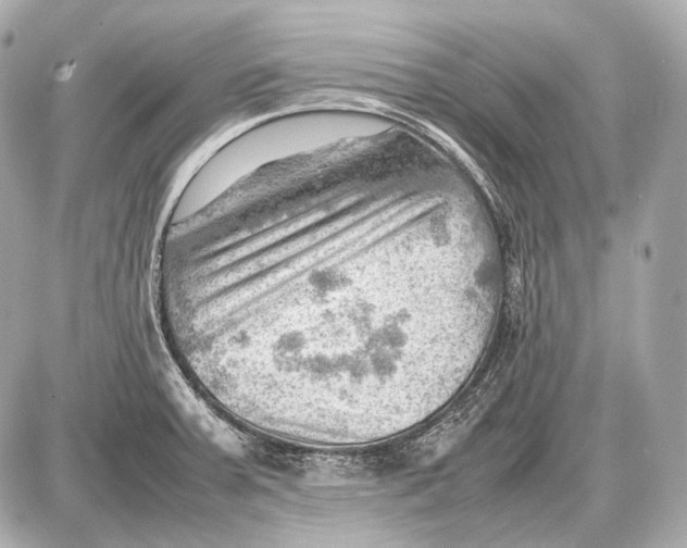 X0000087401379200705111815