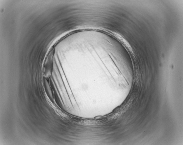 X0000087401380200705111815