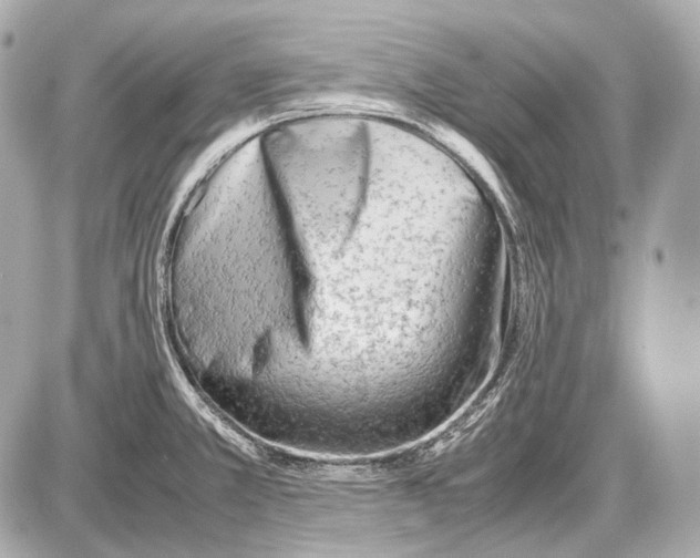 X0000087401381200705111815