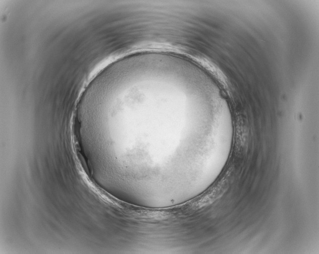 X0000087401382200705111815