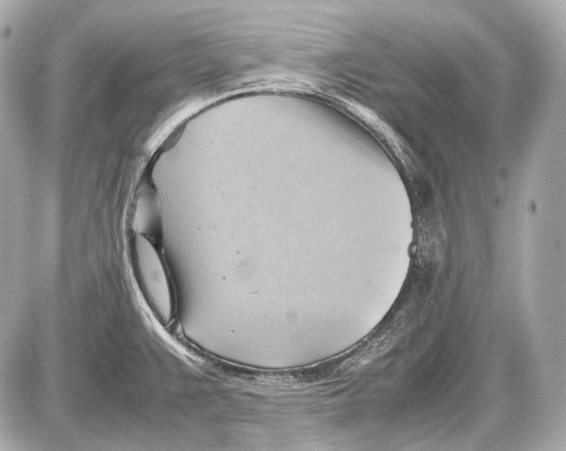 X0000087401383200705111815