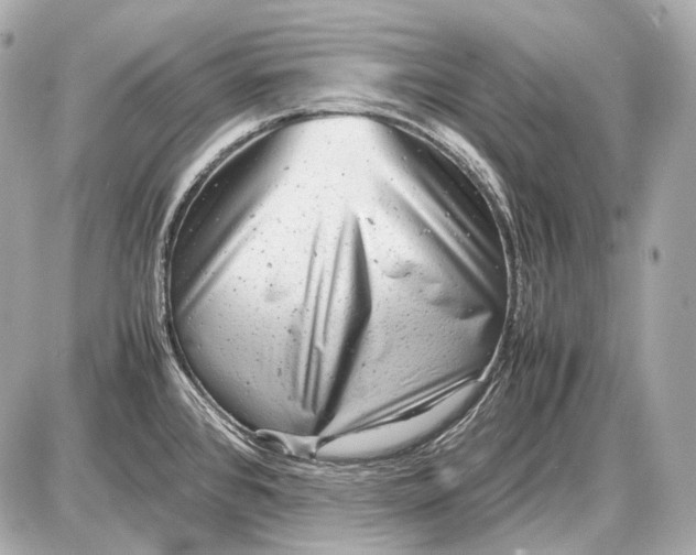 X0000087401384200705111815