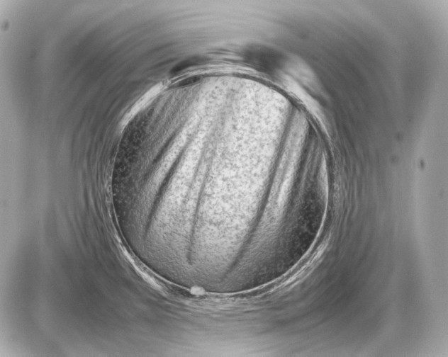 X0000087401385200705111815