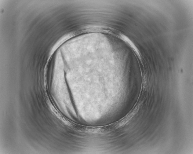 X0000087401386200705111815