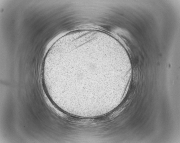 X0000087401387200705111815