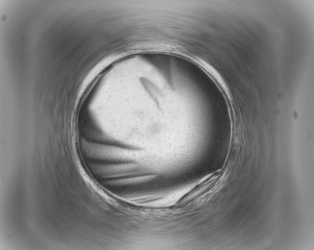 X0000087401389200705111815