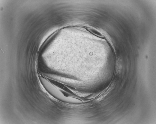 X0000087401390200705111815