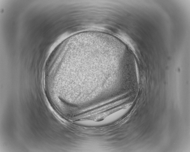 X0000087401391200705111815