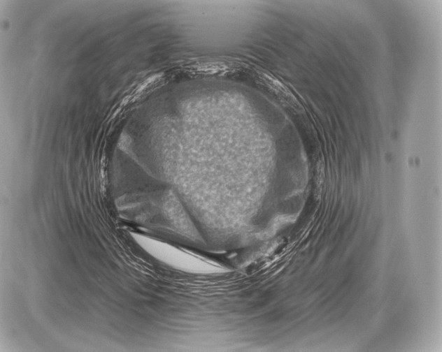 X0000087401394200705111814