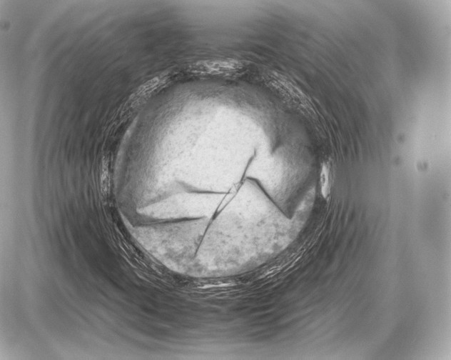 X0000087401395200705111814