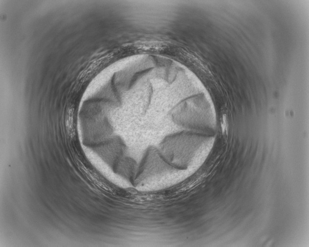 X0000087401396200705111814